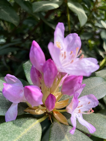 23-06-03 16-43-59 5793.jpeg